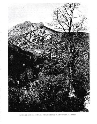 LAMINA 6363: El Puig de Bassegoda en La Garrotxa