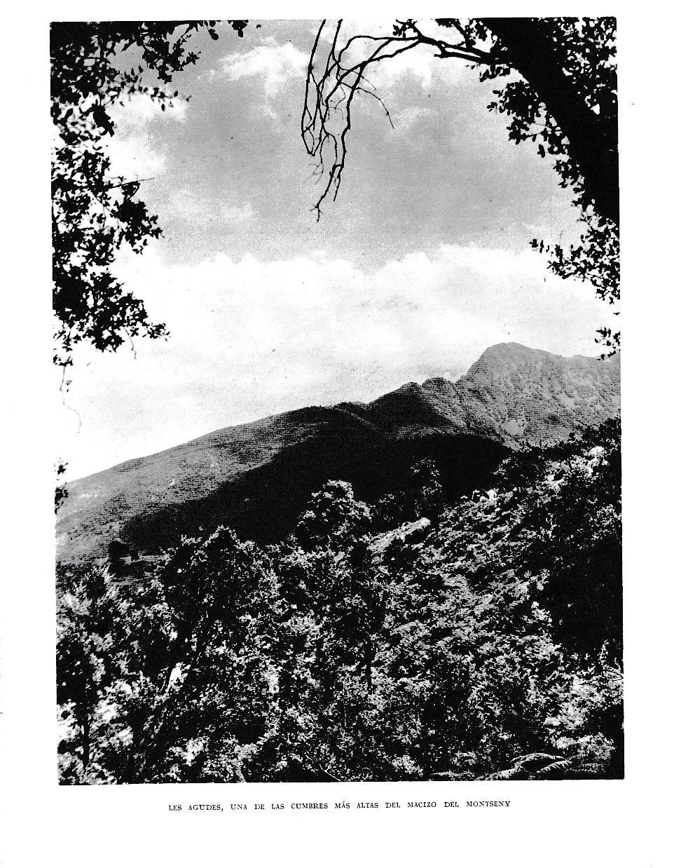 LAMINA 6377: Les Agudes en el Montseny