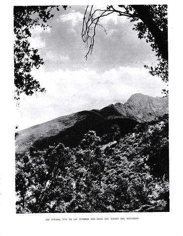 LAMINA 6377: Les Agudes en el Montseny