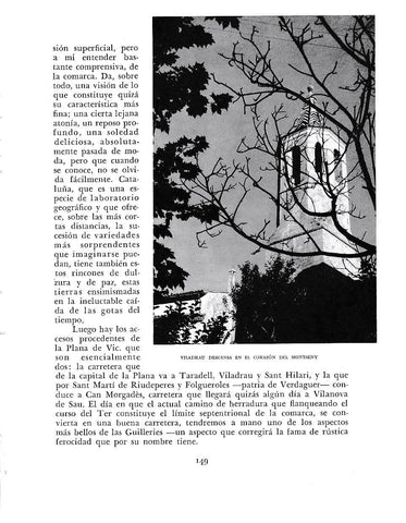 LAMINA 6380:  Viladrau en el corazon del Montseny