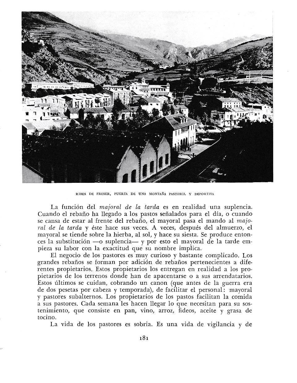 LAMINA 6394: Ribes de Freser 