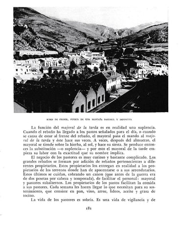 LAMINA 6394: Ribes de Freser 