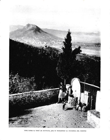 LAMINA 6415: Turo de Montcada