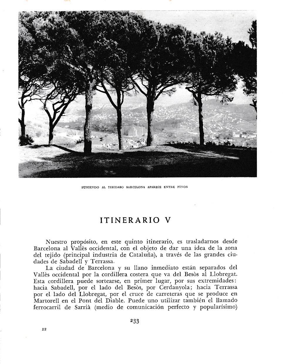 LAMINA 6416: Barcelona entre pinos desde el Tibidabo
