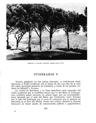 LAMINA 6416: Barcelona entre pinos desde el Tibidabo