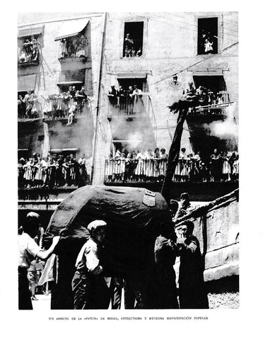 LAMINA 6443: Patum de Berga