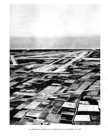LAMINA 6451: Las huertas del Prat desde el Aeropuerto