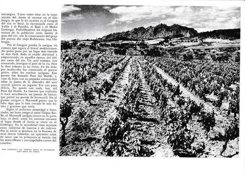 LAMINA 6455: Panoramica Montserrat desde un viñedo