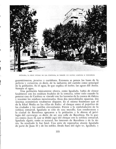 LAMINA 6458: Igualada curtidos agricola e industrial