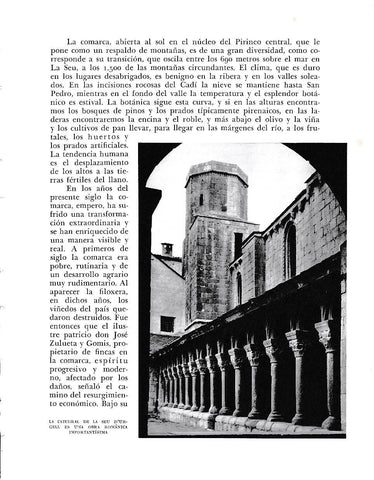 LAMINA 6473: La Catedral romanica  de La Seu d Urgell 