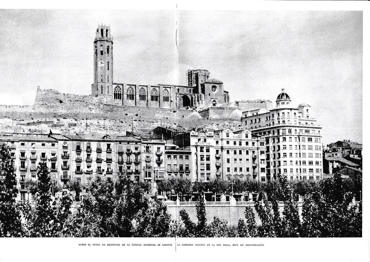 LAMINA 6481: La silueta de la Seu Vella sobre el friso de edificios moderos