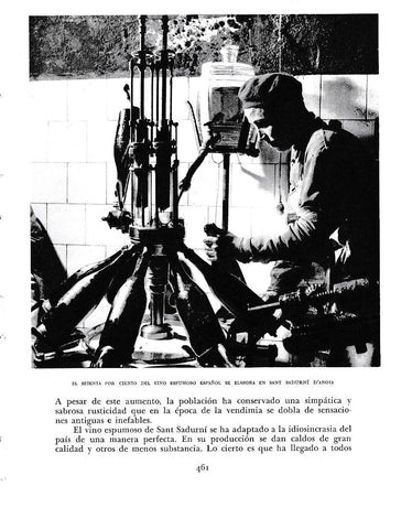 LAMINA 6513: Vino espumoso español de Sant Sadurni D Anoia
