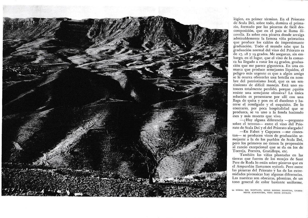 LAMINA 6530:  La sierra de Montsant  visto desde Siurana