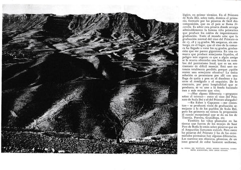 LAMINA 6530:  La sierra de Montsant  visto desde Siurana