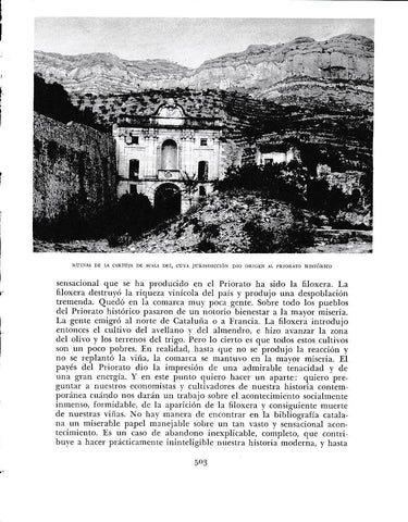 LAMINA 6531: Ruinas de la cartuja de Scala Dei cuya jurisdiccion dio origen a un priorato historico
