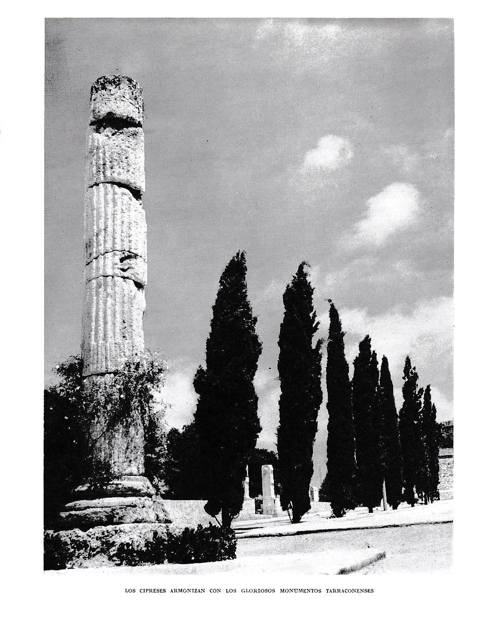 LAMINA 6546: Los cipreses armonizan con los gloriosos monumentos Tarraconenses