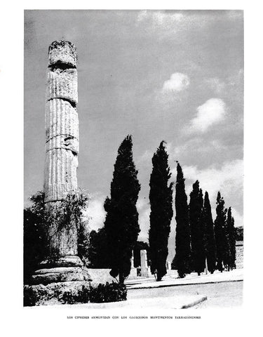 LAMINA 6546: Los cipreses armonizan con los gloriosos monumentos Tarraconenses
