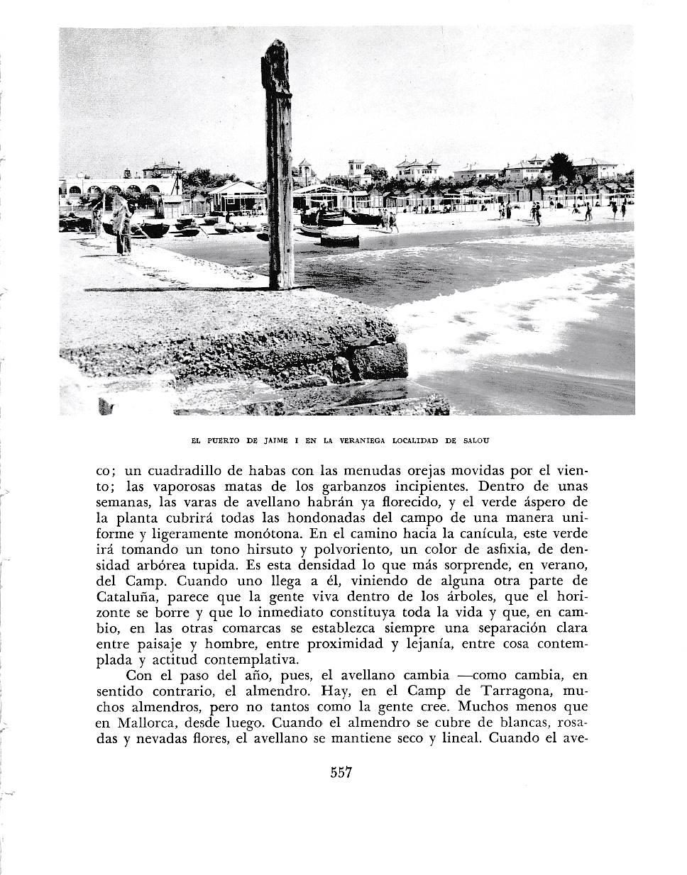LAMINA 6553: El puerto de Jaime I en Salou