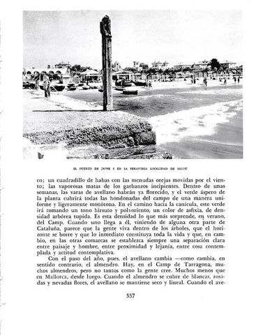 LAMINA 6553: El puerto de Jaime I en Salou