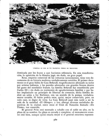LAMINA 6554: L Ametlla de Mar tranquilo puerto de pescadores