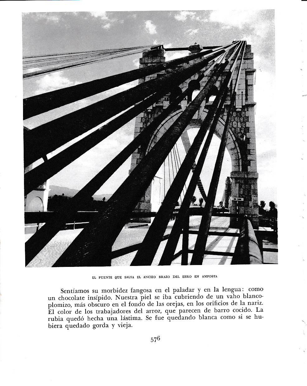 LAMINA 6561:  El puente del Ebro en Amposta