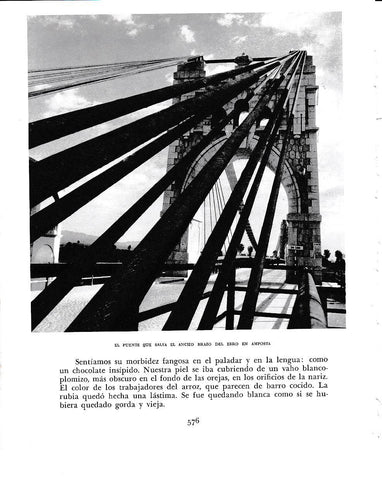 LAMINA 6561:  El puente del Ebro en Amposta
