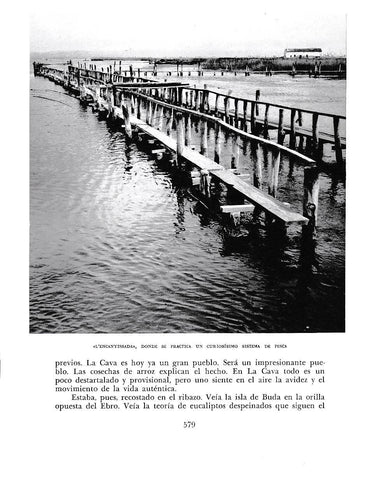 LAMINA 6563: L Encanyissada donde se practica un curiosisimo sistema de pesca