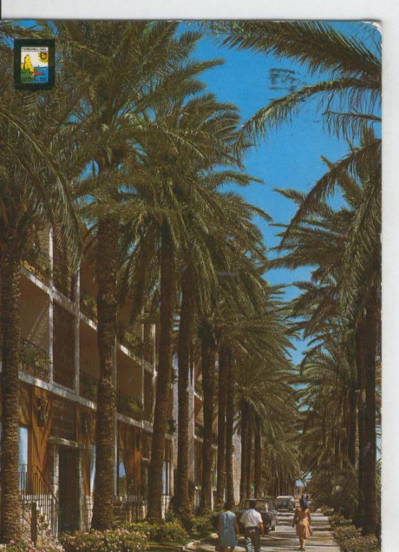 Postal 07538 : Paseo de Palmeras de Torremolinos