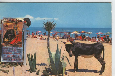 Postal 07918 : Torremolinos, Playa de Montemar