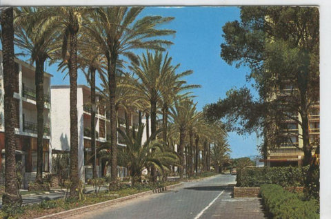 Postal 07937 : Torremolinos, paseo de las palmeras