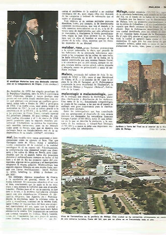 LAMINA MONITOR 0341: ALCAZABA DE MALAGA. VISTA DE TORREMOLINOS