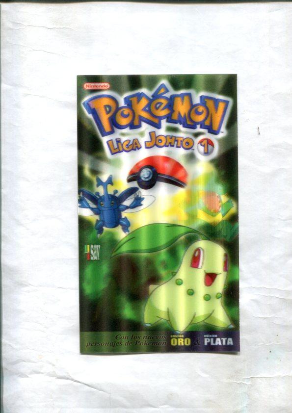 Tarjeta, postal, relieve de Pokemon Liga Johto 1