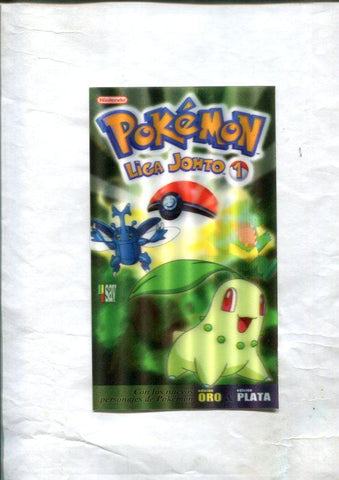 Tarjeta, postal, relieve de Pokemon Liga Johto 1