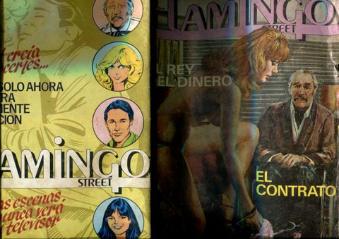 Flamingo Street numero 03: (numerado 2 en interior cubierta)