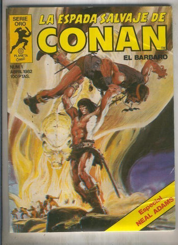 La espada salvaje de conan volumen 1 numero 001: especial Neal Adams