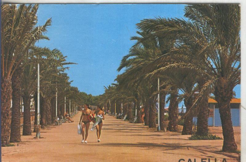 Postal 5168 : Paseo maritimo de Calella de Mar
