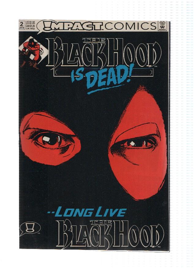 BLACK HOOD, Volume 1, Numero 02: Birth of a Sewer Hero (Impact)