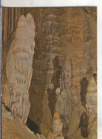 Postal 4959 : El borreguito de la cueva de Nerja en Malaga
