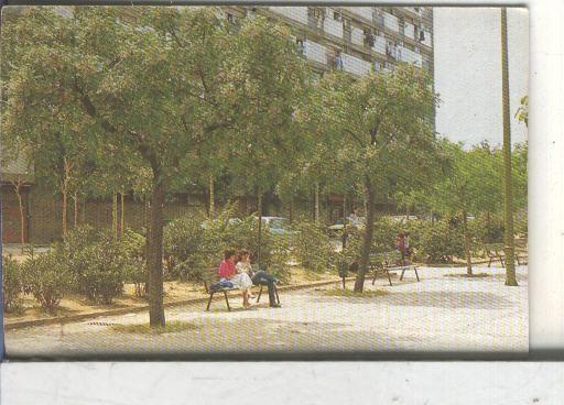 Cromos: Arbres de Barcelona numero 39:A: Melia