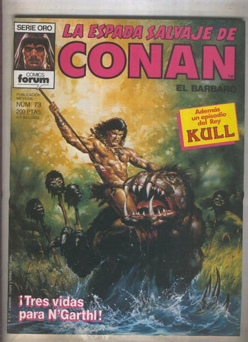 La Espada Salvaje de Conan primera edicion numero 073 (numerado 3 en trasera)