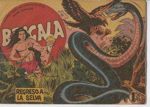 Bengala primera parte numero 14: Regreso a la selva