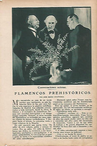LAMINA BLANCO Y NEGRO 7727: Dibujo de Baldrich