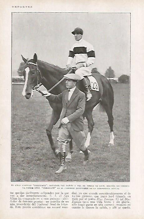 LAMINA BLANCO Y NEGRO 7845: El caballo Coronach ganador en 1926