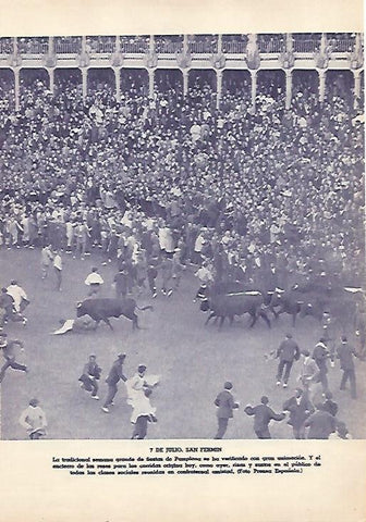 LAMINA BLANCO Y NEGRO 7922: Encierro de San Fermin del 7 de julio de 1936