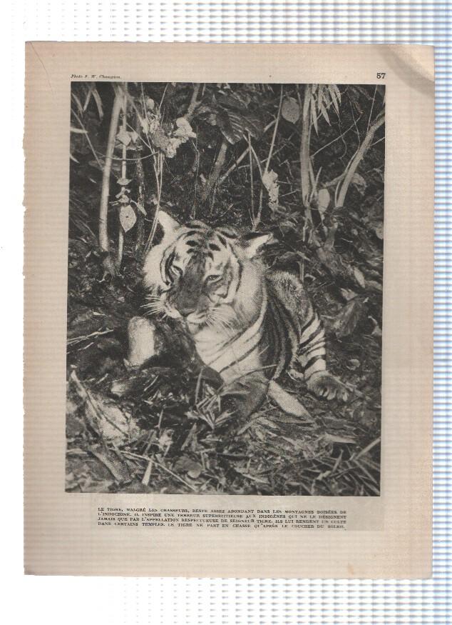 Images du monde: INDOCHINE: Laminas  57 y 58