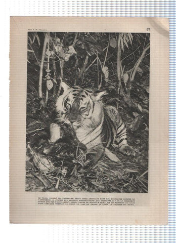 Images du monde: INDOCHINE: Laminas  57 y 58