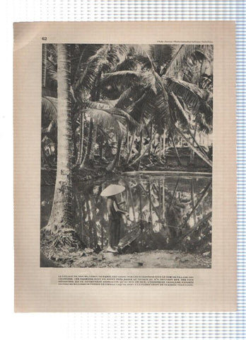 Images du monde: INDOCHINE: Laminas  61 y 62