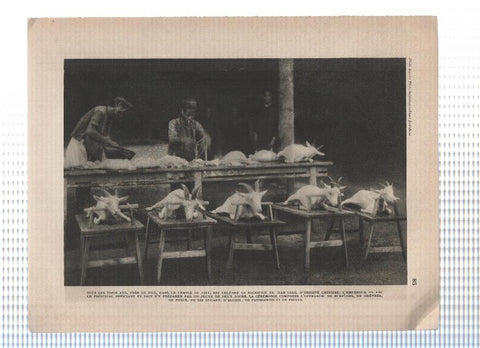 Images du monde: INDOCHINE: Laminas  85 y 86
