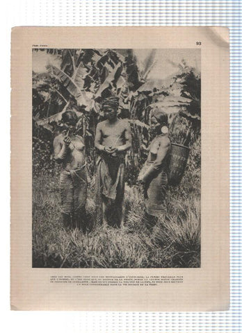 Images du monde: INDOCHINE: Laminas  93 y 94