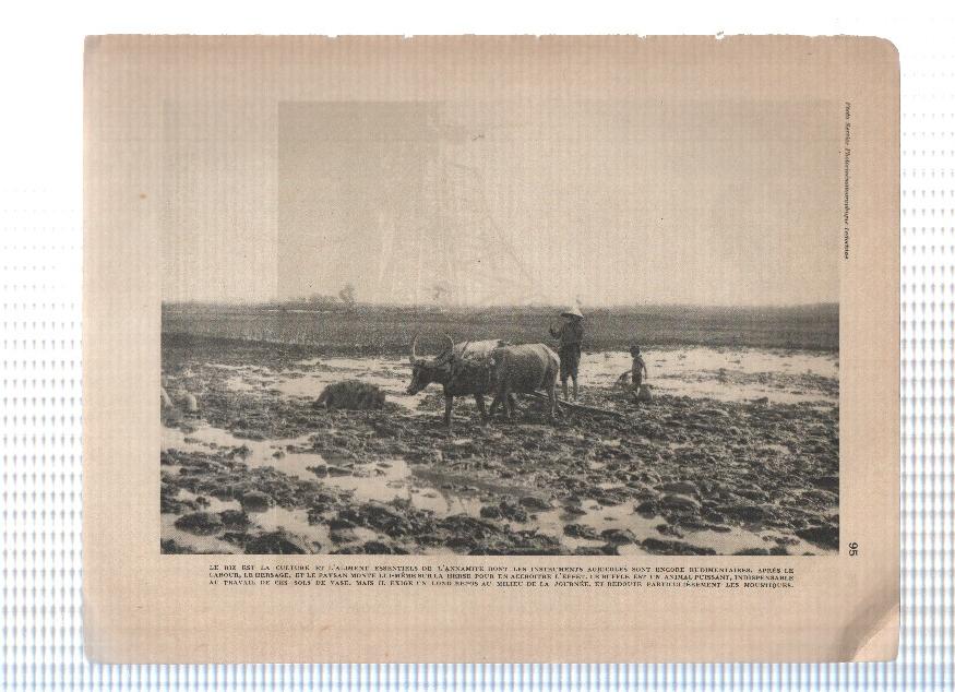 Images du monde: INDOCHINE: Laminas  95 y 96